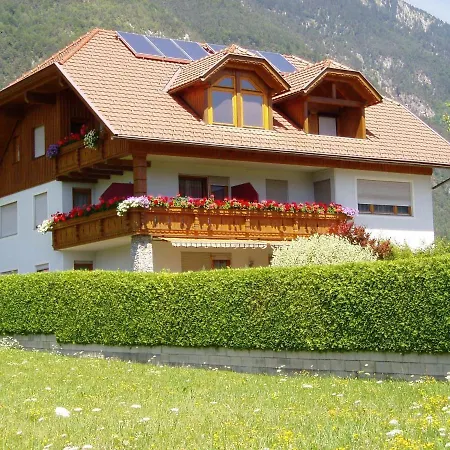 Apartment Gaestehaus Wallner Presseggen